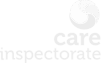 Care inspectorate