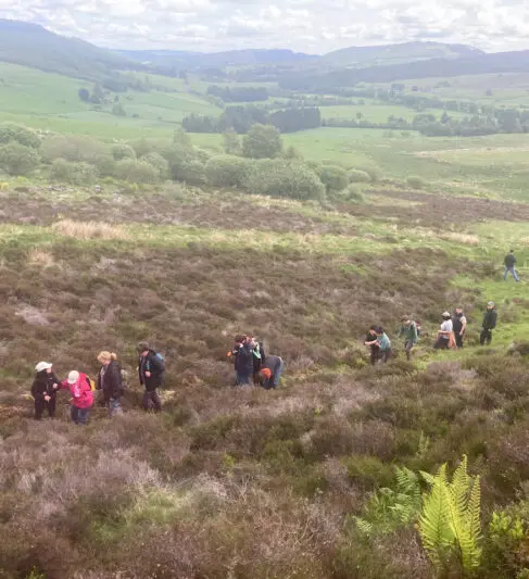 A group of walkers on a hillside