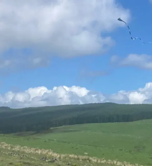Kite flying
