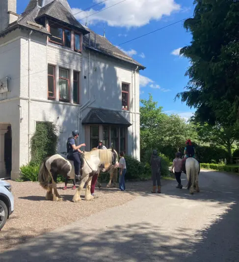 Horse Workshop seeks the shade