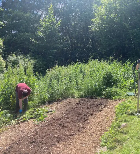 Where is that wheelbarrow? The bed clearing team need somewhere for the weeds